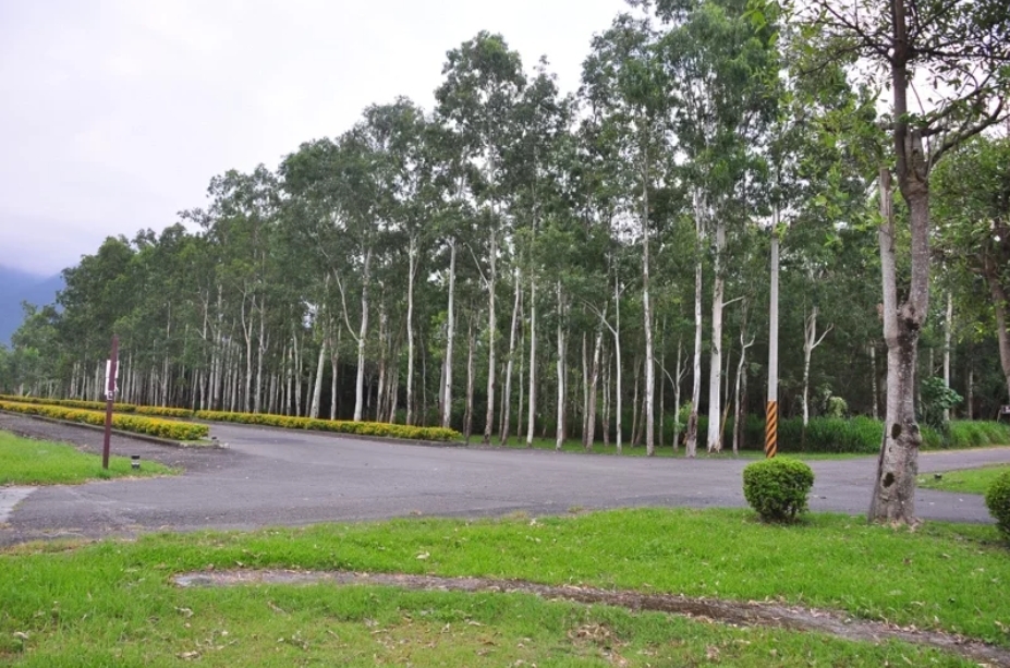 國立宜蘭大學向國產署無償撥用取得南澳農場16公頃土地，未來將由農委會補助宜大，在這裡打造全國唯一的「青農創業專區」，培育新農與青農。圖／讀者提供