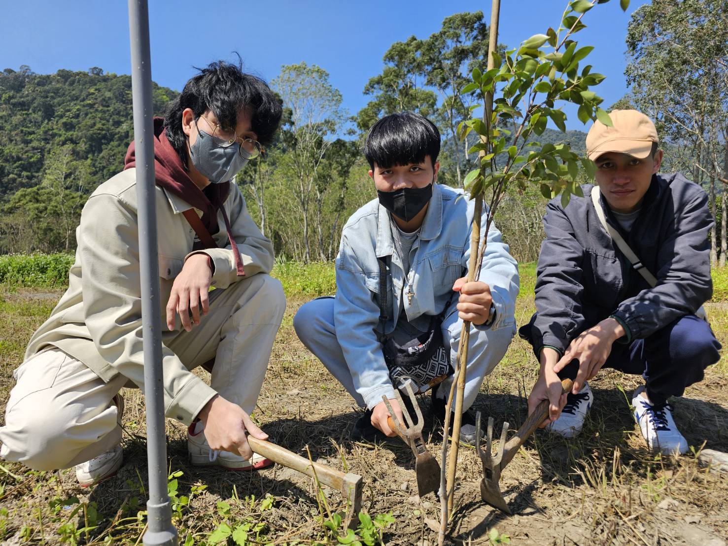 宜大原專班學生親自栽種原鄉特有的小果油茶（記者張正量攝）